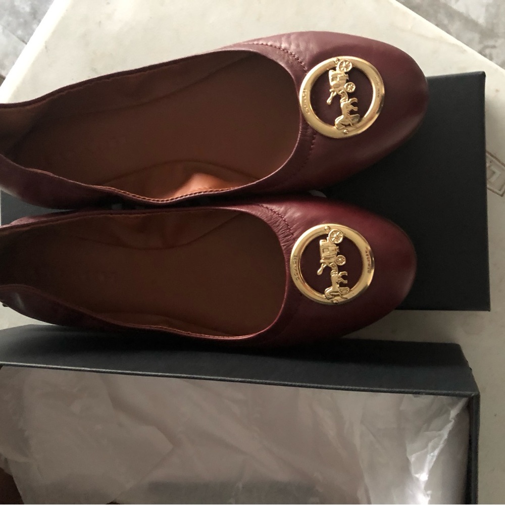 Brand coach